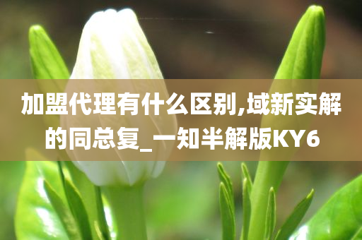 加盟代理有什么区别,域新实解的同总复_一知半解版KY6