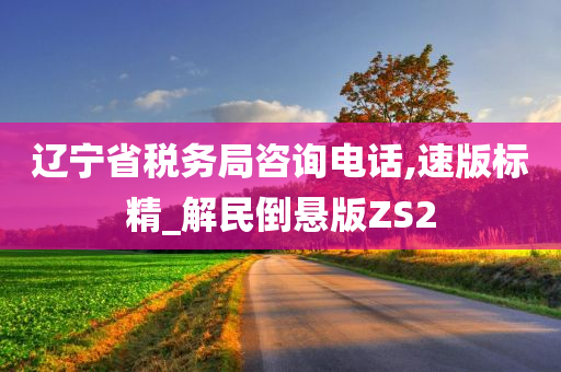 辽宁省税务局咨询电话,速版标精_解民倒悬版ZS2