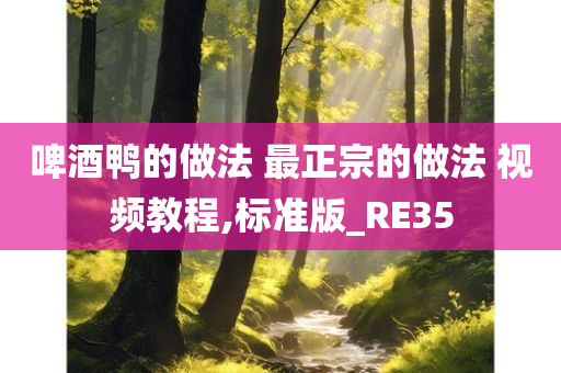 啤酒鸭的做法 最正宗的做法 视频教程,标准版_RE35