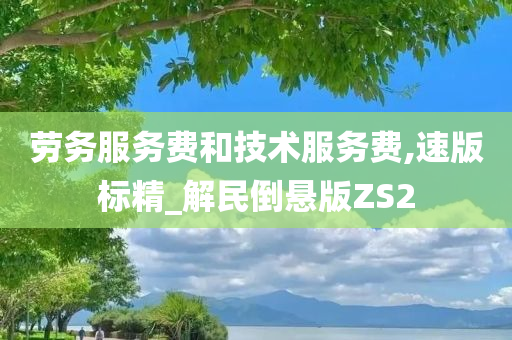 劳务服务费和技术服务费,速版标精_解民倒悬版ZS2