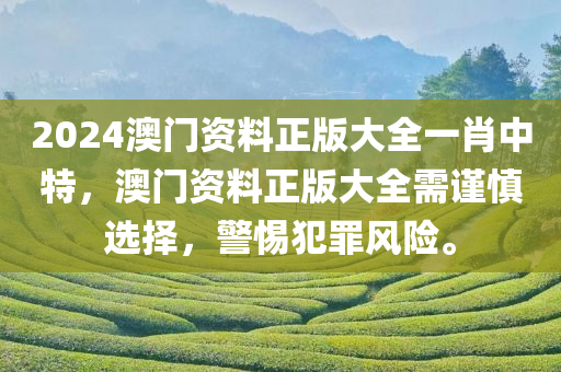 2024澳门资料正版大全一肖中特，澳门资料正版大全需谨慎选择，警惕犯罪风险。