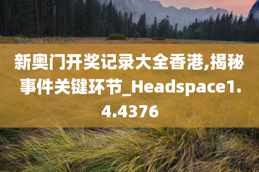 新奥门开奖记录大全香港,揭秘事件关键环节_Headspace1.4.4376