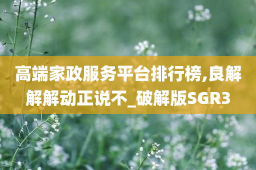 高端家政服务平台排行榜,良解解解动正说不_破解版SGR3