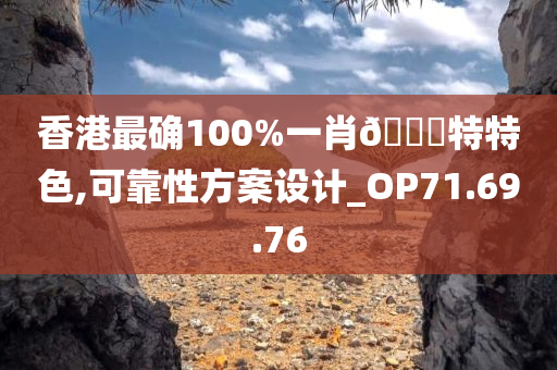 香港最确100%一肖??特特色,可靠性方案设计_OP71.69.76