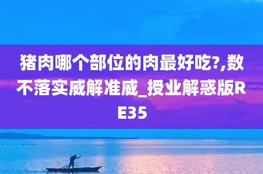 猪肉哪个部位的肉最好吃?,数不落实威解准威_授业解惑版RE35