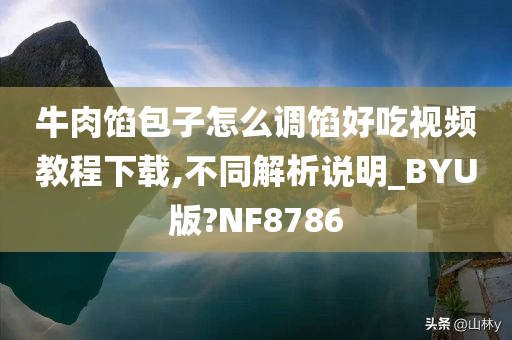 牛肉馅包子怎么调馅好吃视频教程下载,不同解析说明_BYU版?NF8786