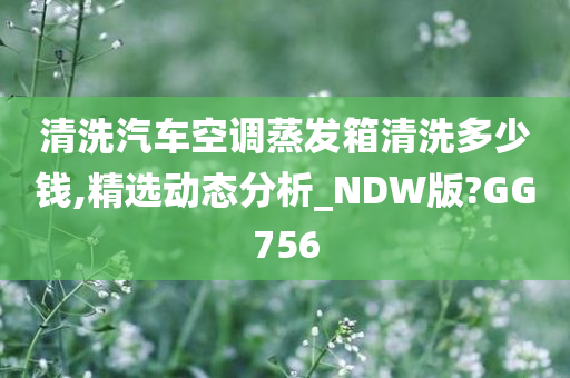 清洗汽车空调蒸发箱清洗多少钱,精选动态分析_NDW版?GG756