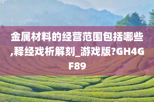 金属材料的经营范围包括哪些,释经戏析解刻_游戏版?GH4GF89