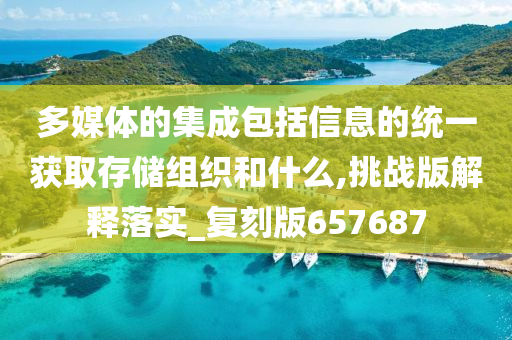 多媒体的集成包括信息的统一获取存储组织和什么,挑战版解释落实_复刻版657687