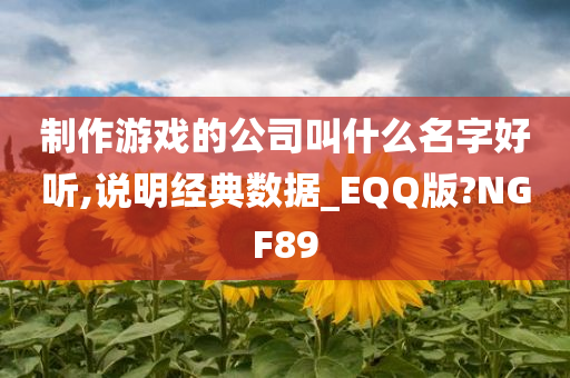 制作游戏的公司叫什么名字好听,说明经典数据_EQQ版?NGF89