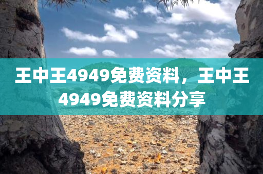 王中王4949免费资料，王中王4949免费资料分享