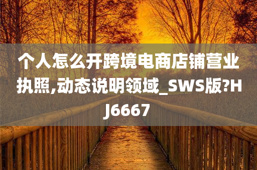 个人怎么开跨境电商店铺营业执照,动态说明领域_SWS版?HJ6667