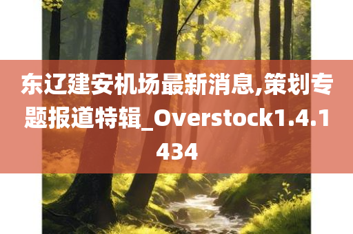 东辽建安机场最新消息,策划专题报道特辑_Overstock1.4.1434