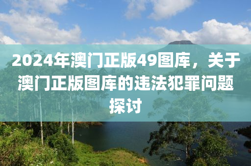 2024年澳门正版49图库，关于澳门正版图库的违法犯罪问题探讨