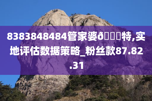 8383848484管家婆??特,实地评估数据策略_粉丝款87.82.31