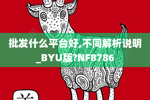 批发什么平台好,不同解析说明_BYU版?NF8786