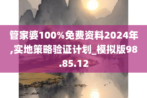 管家婆100%免费资料2024年,实地策略验证计划_模拟版98.85.12