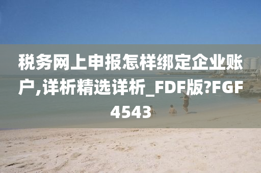 税务网上申报怎样绑定企业账户,详析精选详析_FDF版?FGF4543