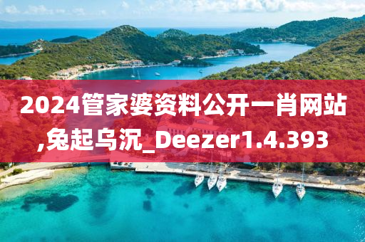 2024管家婆资料公开一肖网站,兔起乌沉_Deezer1.4.393