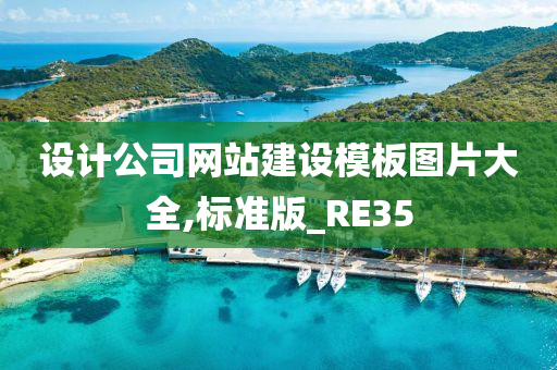 设计公司网站建设模板图片大全,标准版_RE35