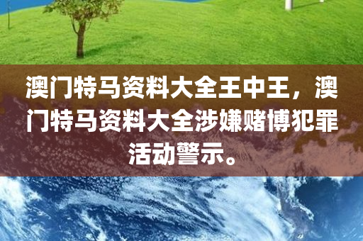 澳门特马资料大全王中王，澳门特马资料大全涉嫌赌博犯罪活动警示。