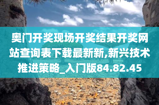 奥门开奖现场开奖结果开奖网站查询表下载最新新,新兴技术推进策略_入门版84.82.45