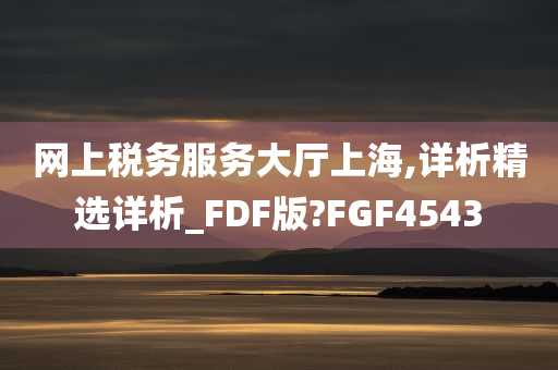 网上税务服务大厅上海,详析精选详析_FDF版?FGF4543