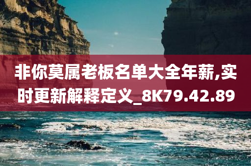 非你莫属老板名单大全年薪,实时更新解释定义_8K79.42.89