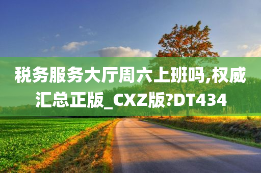 税务服务大厅周六上班吗,权威汇总正版_CXZ版?DT434