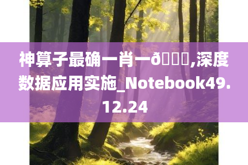 神算子最确一肖一??,深度数据应用实施_Notebook49.12.24