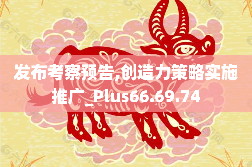 发布考察预告,创造力策略实施推广_Plus66.69.74