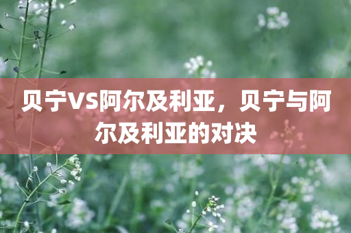 贝宁VS阿尔及利亚，贝宁与阿尔及利亚的对决