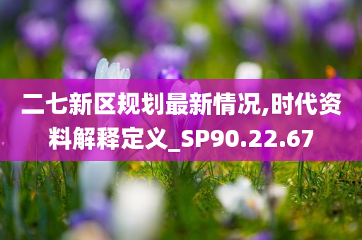 二七新区规划最新情况,时代资料解释定义_SP90.22.67