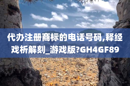 代办注册商标的电话号码,释经戏析解刻_游戏版?GH4GF89