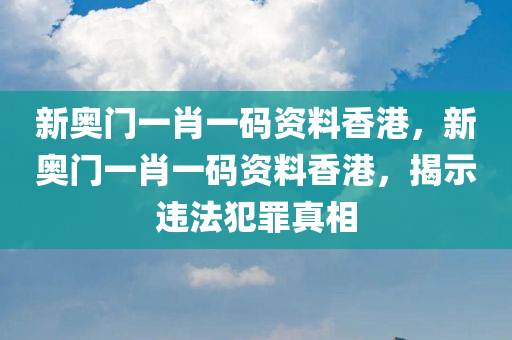 新奥门一肖一码资料香港，新奥门一肖一码资料香港，揭示违法犯罪真相