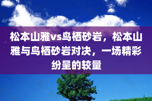 松本山雅vs鸟栖砂岩，松本山雅与鸟栖砂岩对决，一场精彩纷呈的较量