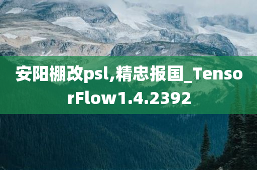 安阳棚改psl,精忠报国_TensorFlow1.4.2392