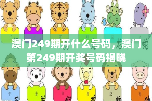 澳门249期开什么号码，澳门第249期开奖号码揭晓