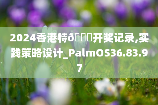 2024香港特??开奖记录,实践策略设计_PalmOS36.83.97