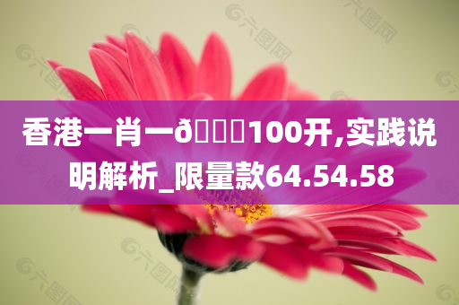 香港一肖一??100开,实践说明解析_限量款64.54.58