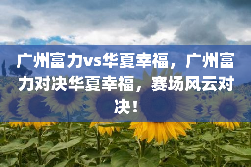 广州富力vs华夏幸福，广州富力对决华夏幸福，赛场风云对决！