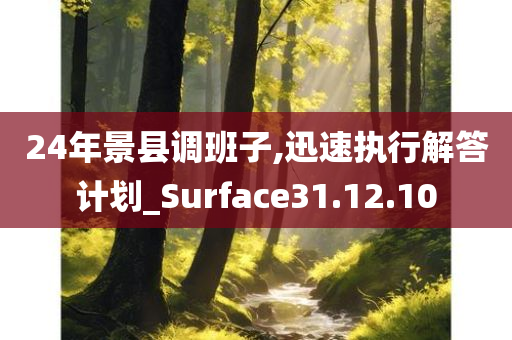 24年景县调班子,迅速执行解答计划_Surface31.12.10