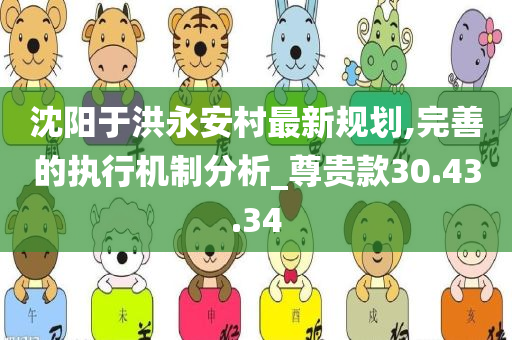 沈阳于洪永安村最新规划,完善的执行机制分析_尊贵款30.43.34