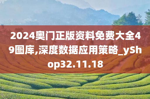 2024奥门正版资料免费大全49图库,深度数据应用策略_yShop32.11.18