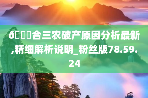 ??合三农破产原因分析最新,精细解析说明_粉丝版78.59.24