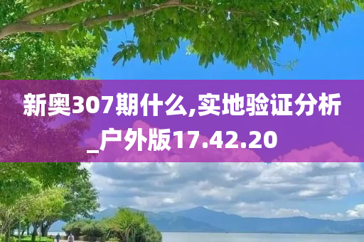 新奥307期什么,实地验证分析_户外版17.42.20