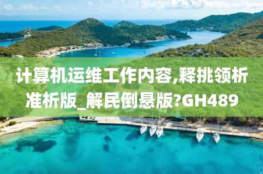 计算机运维工作内容,释挑领析准析版_解民倒悬版?GH489