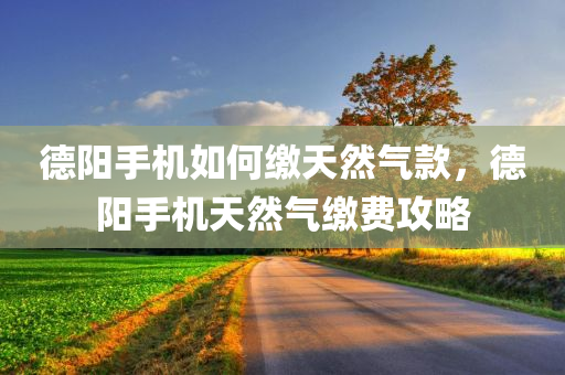 德阳手机如何缴天然气款，德阳手机天然气缴费攻略