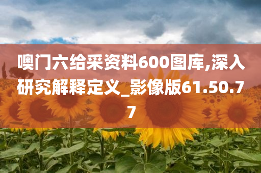 噢门六给采资料600图库,深入研究解释定义_影像版61.50.77