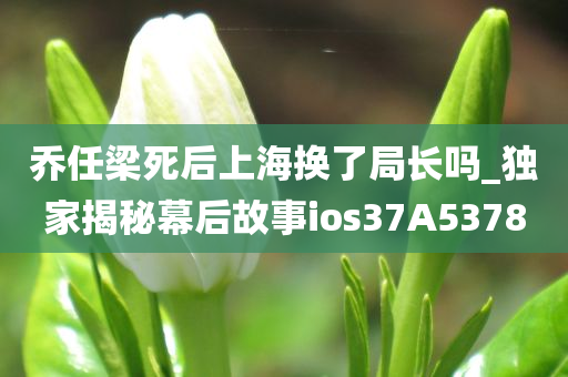 乔任梁死后上海换了局长吗_独家揭秘幕后故事ios37A5378